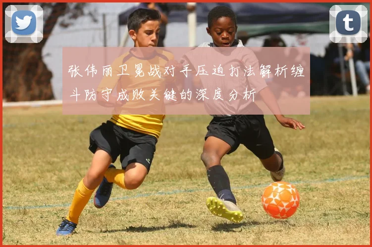 张伟丽卫冕战对手压迫打法解析缠斗防守成败关键的深度分析