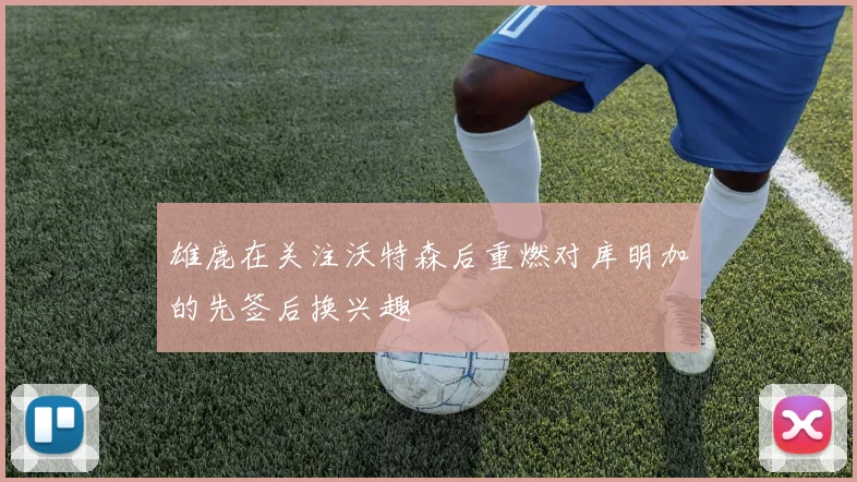 雄鹿在关注沃特森后重燃对库明加的先签后换兴趣